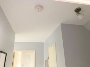 IMG_0720