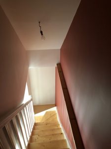 IMG_2561
