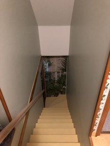 IMG_4674