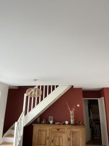 IMG_5964