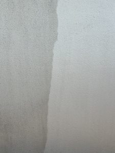 IMG_7300