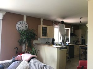 IMG_9502